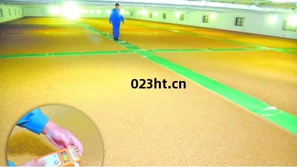 淺(qian)談工(gong)業除(chu)濕機在(zai)儲(chu)糧(liang)方面的(de)應用